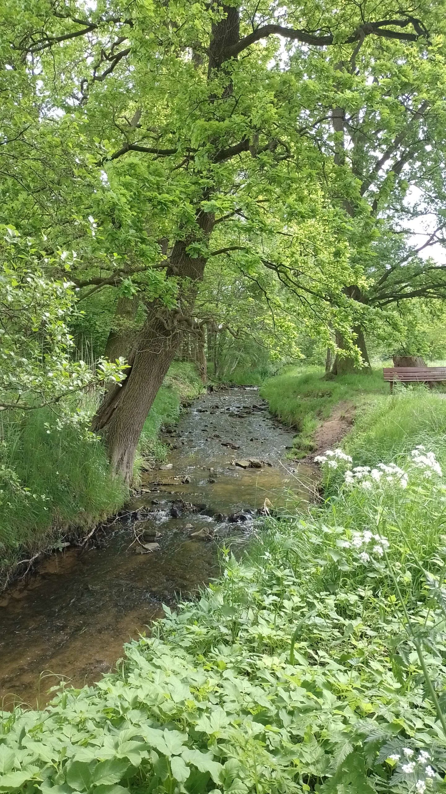 Ferienwohnung Velen Urlaub im Münsterland mit Garten mieten